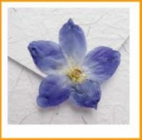 TARJETA ECOLOGICA TIPO 2